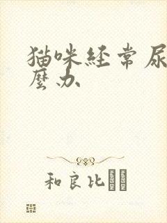 猫咪经常尿闭怎么办