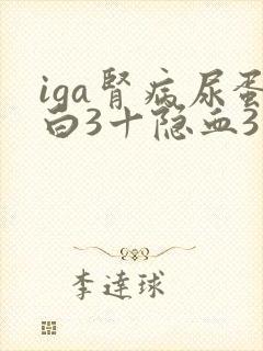 iga肾病尿蛋白3十隐血3十是几级