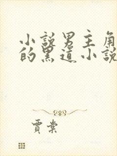 小说男主角姓萧的黑道小说