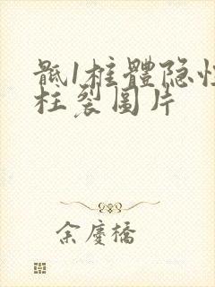 骶1椎体隐性脊柱裂图片