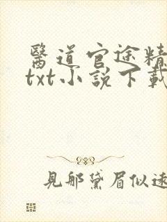 医道官途精校版txt小说下载