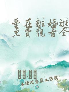 爱在离婚进行时免费观看全集