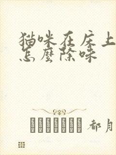 猫咪在床上尿了怎么除味