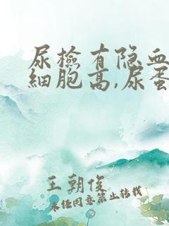 尿检有隐血,白细胞高,尿蛋白是怎么回事?