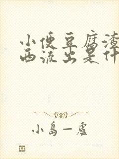 小便豆腐渣样东西流出是什么情况