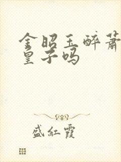 金昭玉醉萧仞是皇子吗