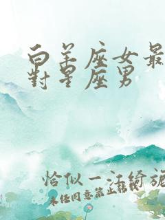 白羊座女最佳配对星座男