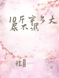 10斤穿多大的尿不湿