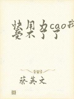 快用力cao我受不了了