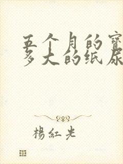 五个月的宝宝穿多大的纸尿裤