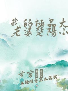 我的极品大小姐老婆楚阳小说阅读