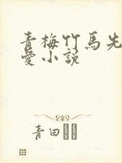 青梅竹马先婚后爱小说