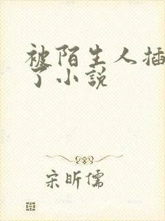 被陌生人插进去了小说