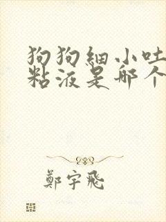 狗狗细小吐白色粘液是哪个阶段