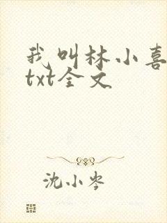 我叫林小喜乖宝txt全文
