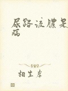 尿路流脓是什么病