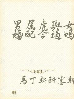 男属虎与女属龙婚配合适吗