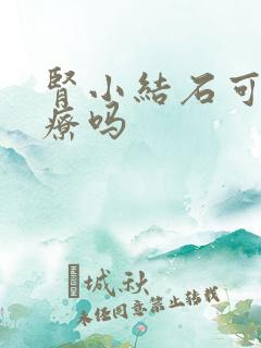 肾小结石可以治疗吗