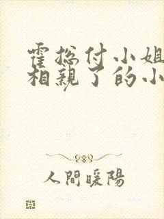 霍总付小姐又去相亲了的小说免费阅读