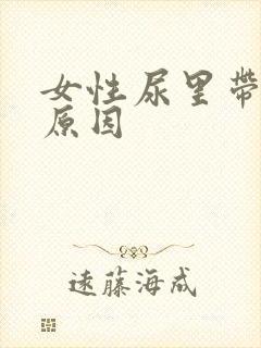 女性尿里带血的原因