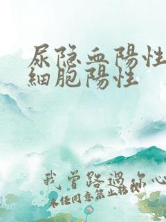 尿隐血阳性尿白细胞阳性