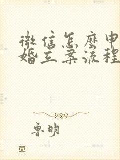 微信怎么申请离婚立案流程