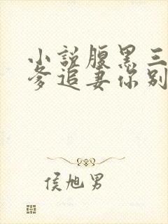 小说腹黑三宝渣爹追妻你别怂小说