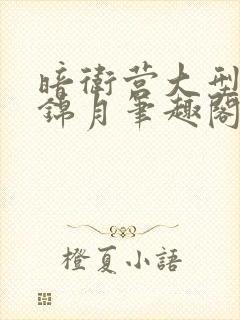 暗卫营大型np锦月笔趣阁全文阅读