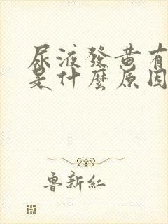 尿液发黄有泡泡是什么原因