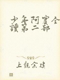 少年阿宾全文阅读第二部