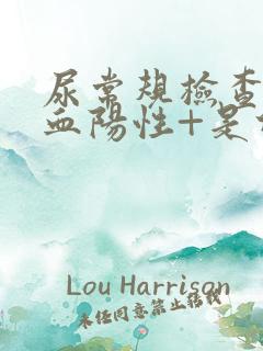 尿常规检查,隐血阳性+是什么意思