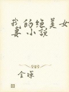 我的绝美女神娇妻 小说