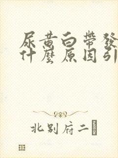 尿黄白带发黄是什么原因引起的