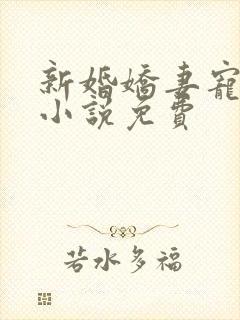 新婚娇妻宠上瘾小说免费