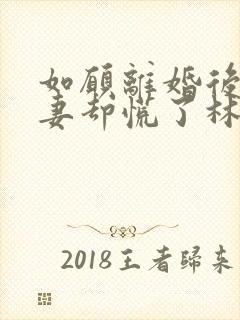 如愿离婚后,前妻却慌了林泽短剧