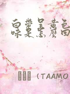 白带呈黄色带酸味是怎么回事