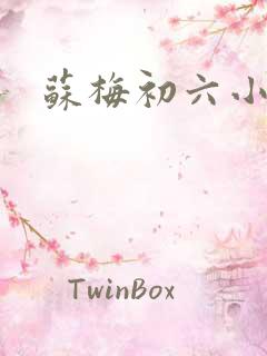苏梅初六小说