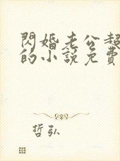 闪婚老公超有钱的小说免费阅读全文