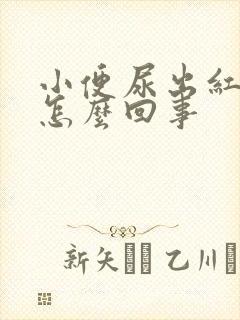 小便尿出红黑血怎么回事