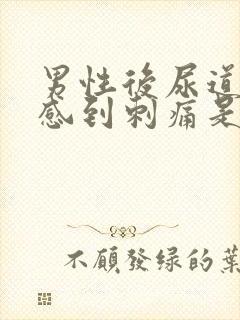 男性后尿道排尿感到刺痛是怎么回事