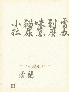 小猫咪到处拉屎拉尿怎么办