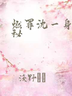 燃罪沈一身份揭秘