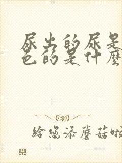 尿出的尿是血红色的是什么原因