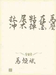 拉屎粘在马桶里冲不掉怎么回事