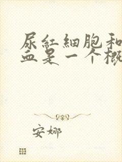 尿红细胞和尿潜血是一个概念吗