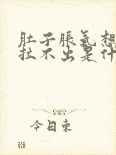 肚子胀气想拉屎拉不出是什么原因造成的