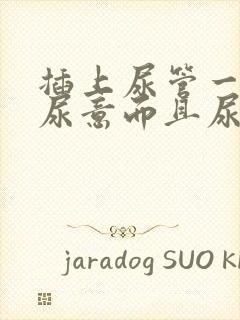 插上尿管一直有尿意而且尿到外面了