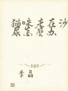 猫咪老在沙发上尿怎么办