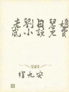 老刘日儿媳妇张岚小说免费阅读