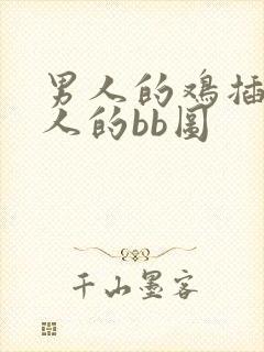 男人的鸡插入女人的bb图